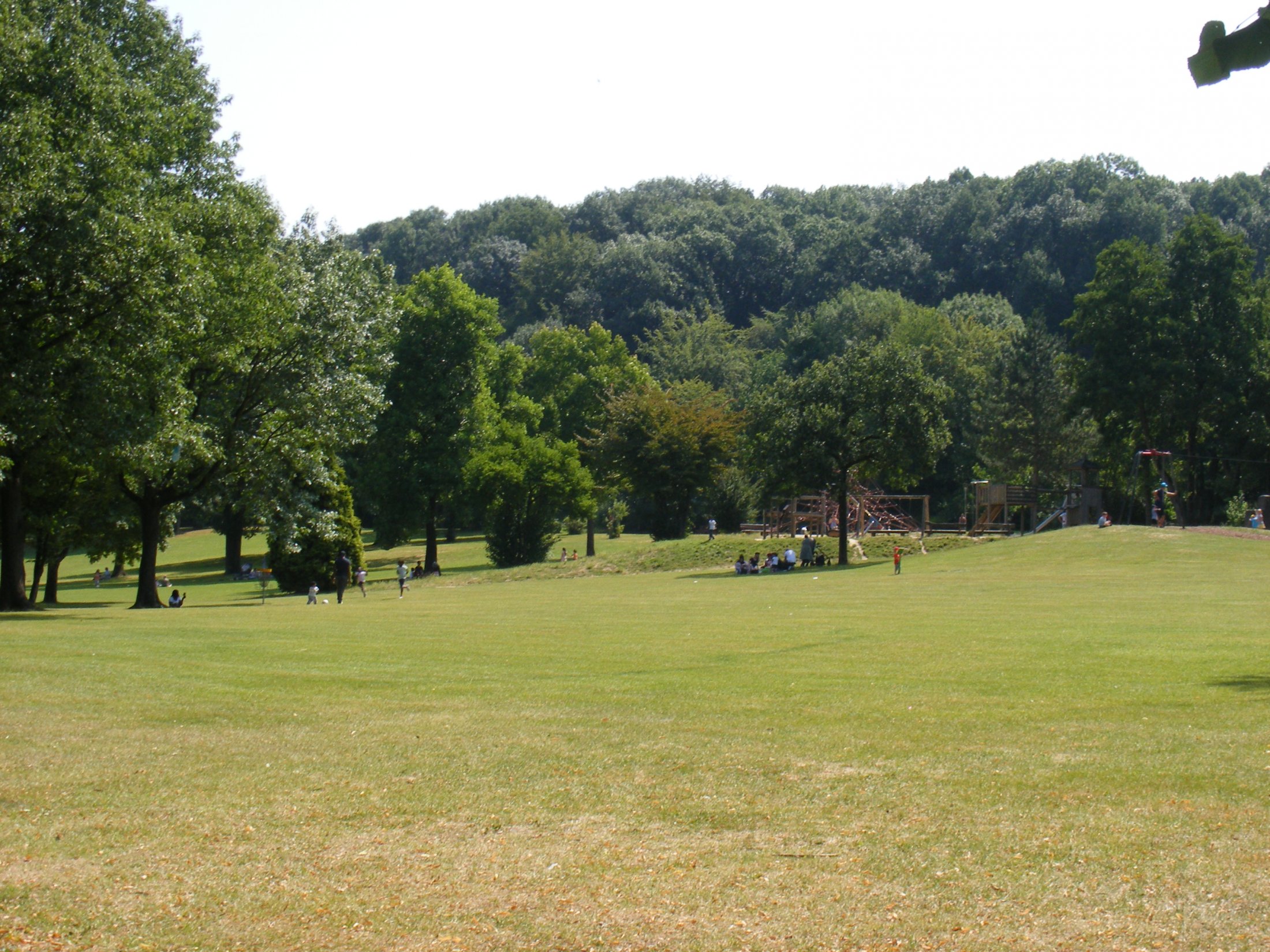 Liegewiese Gysenberg-Park